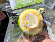 Premium Dessert Series Silicone Squishy – Summer Green Coconut